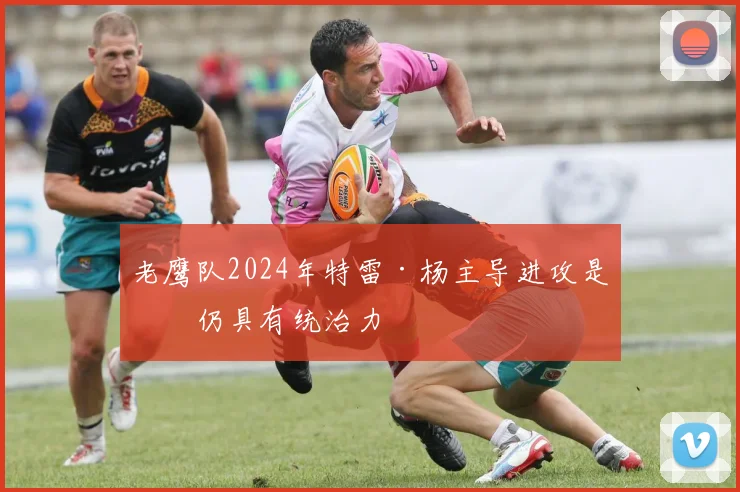 老鹰队2024年特雷·杨主导进攻是否仍具有统治力