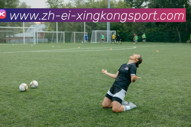 多媒体互动体验